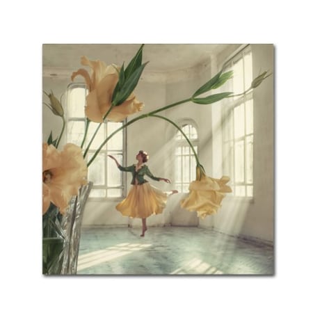 Trademark Fine Art David Dubnitskiy 'Flower Dress' Canvas Art, 18x18 1X01173-C1818GG